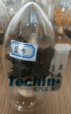 昆布91免费污在线观看前後