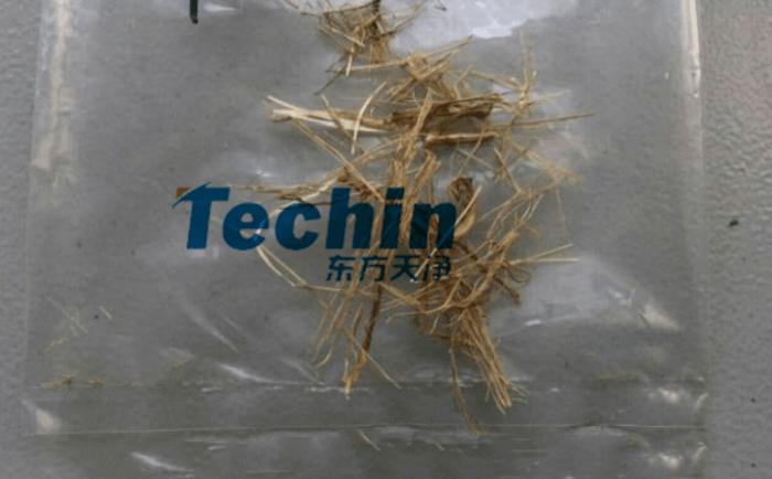 幹黃豆根莖91免费污在线观看前