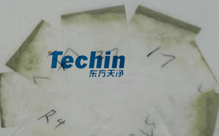 幹黃豆根莖91免费污在线观看後