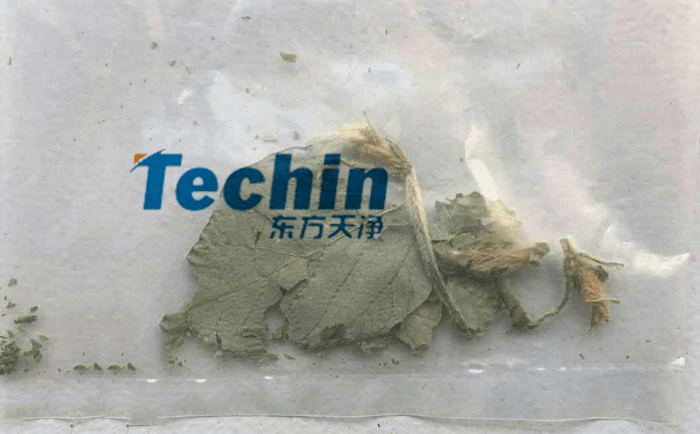 幹黃豆葉91免费污在线观看前