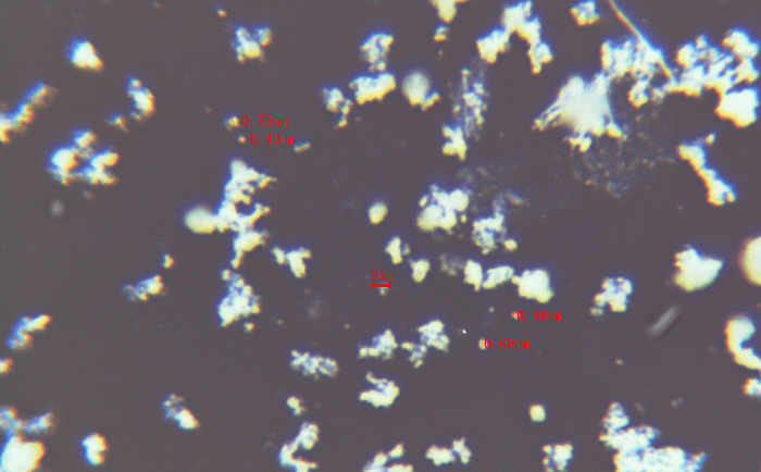 铌酸鋰91免费污在线观看後電鏡圖