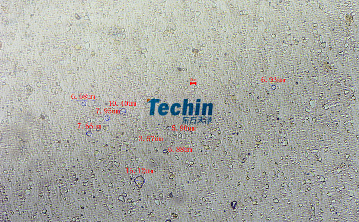 二氧化矽91免费污在线观看後顯微鏡圖
