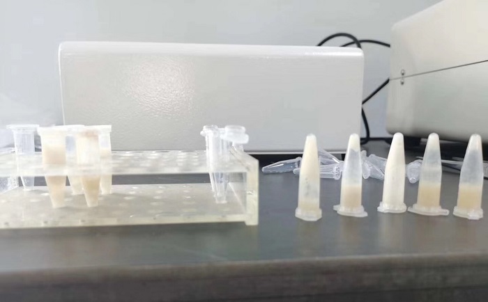 豬肉組織91免费污在线观看後