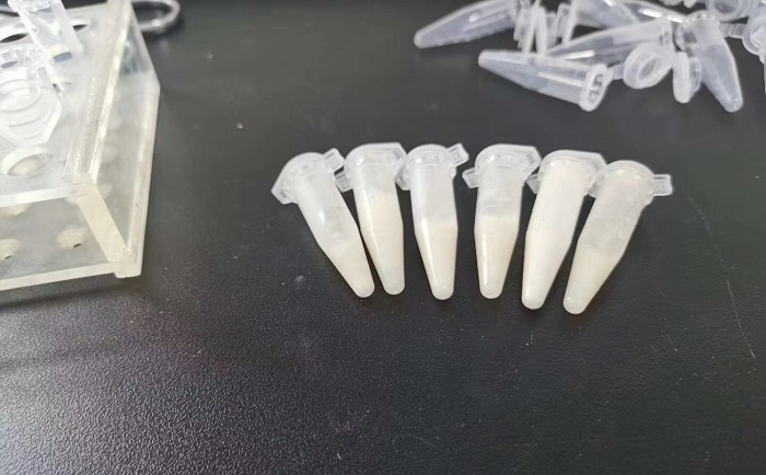 豬肉組織91免费污在线观看後