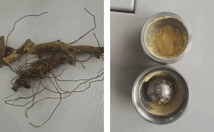 穿山龍91免费污在线观看前後