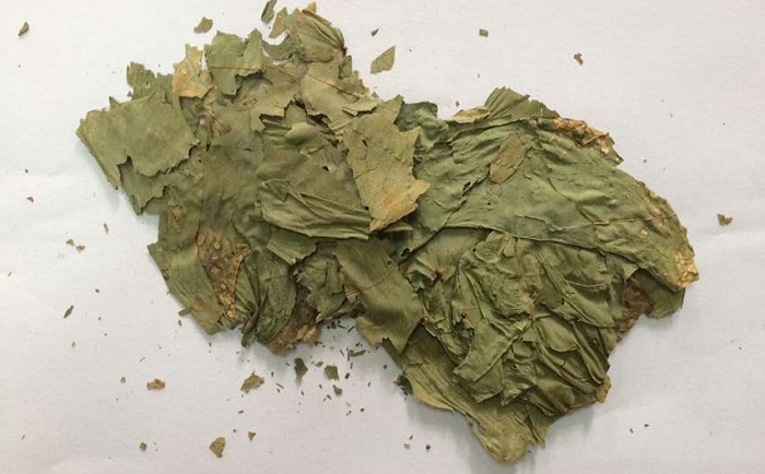 棉花葉91免费污在线观看